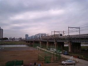 힌카쿠선 다마가와 교량은 힌카쿠선의 교량으로 건설되었다. 현재는 요코스카선, 쇼난 신주쿠 라인의 열차가 다수 왕래한다(2007년 11월).
