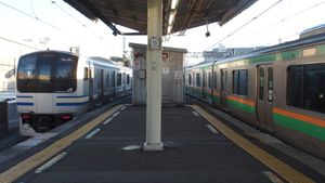 도카이도 본선 (오른쪽)과 요코스카선 (왼쪽)