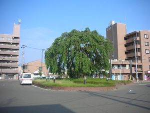 역전 광장 (2015년 7월)