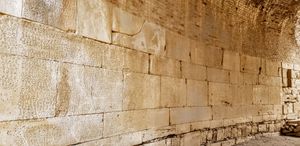 원형 벽의 소 젖소식 코드