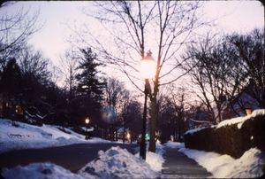 황혼 무렵의 보즈 애비뉴의 가스등