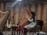 2017년 현대 서양식 콘서트 공후