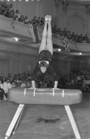 오리지널 도마 구성 (여자)