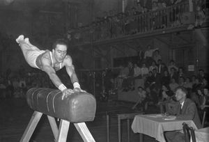 오리지널 도마 구성 (남자)