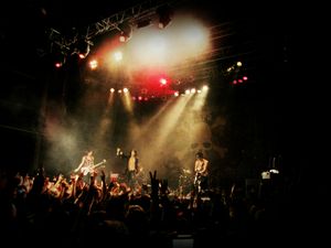 2013년 10월 3일 베를린 공연 중인 Vamps