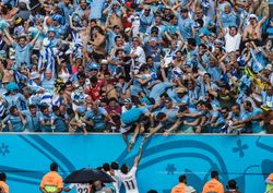 디에고 고딘의 이탈리아전 결승골에 환호하는 우루과이 팬들