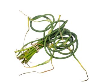 마늘 (수선화과) 의 꽃줄기는 식용으로 쓰인다 ("마늘쫑").