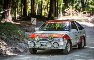 영국 랠리 선수권