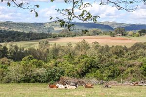 롬바 그란데의 농장