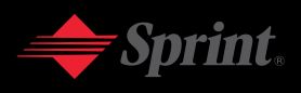 스프린트사 브랜드 마크 (1987–2005)