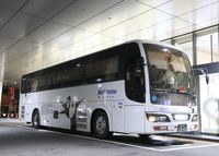 사쿠라지마호(야간편)