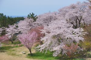 고쇼노다이 후레아이 파크