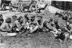 1931년 반더포겔