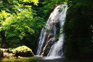 가로 폭포 (2009년 8월)