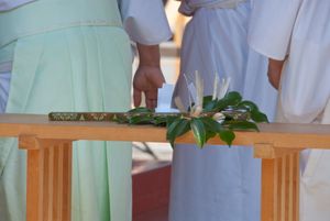 타마구시 (무녀가 사용하는 전통적인 의례용 사카키(Cleyera japonica) 가지 묶음)