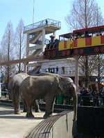 고시엔 한신 파크 (2003년)