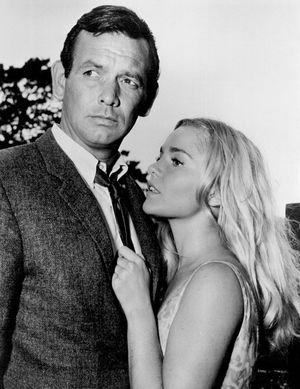 1964년의 웰드, 데이비드 얀센과 함께 TV 시리즈 《도망자》에 출연