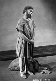 윌슨은 안드로클레스(Androcles) 역으로 안드로클레스와 사자 (연극) (1938)의 연방 극장 프로젝트 제작에 출연했다.