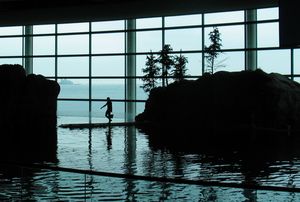 오셔너리움에서 공연 준비, 배경은 미시간 호