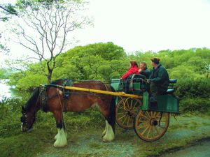로스 성 인근 관광객