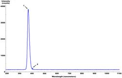 블랙 라이트 광선의 파장 스펙트럼의 예