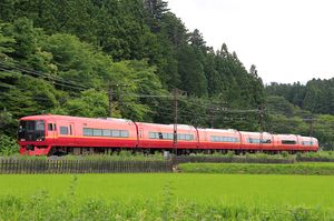 2017년 6월 '닛코' 열차로 운행 중인 253-1000계