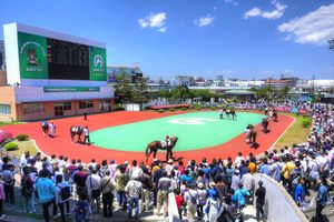 후나바시 경마장 (파독)