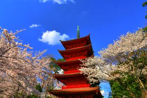 나카야마 법화경사(국가 중요 문화재 오층탑)