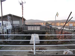 사가미강(가쓰라강)의 야마나카호 유출구. 뒤쪽이 호수 쪽