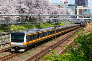역 서쪽에 있는 벚꽃길. 오른쪽 뒤편에 히가시나카노역 서쪽 출구가 보인다.