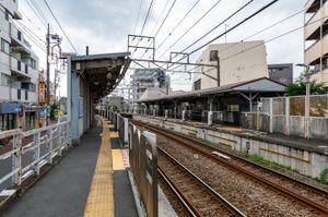 플랫폼, 2021년 8월