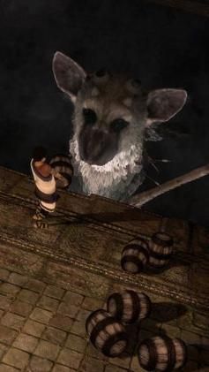 플레이어는 소년을 조종하며, 거대한 생물 토리코와 협력하여 퍼즐을 풀어야 한다.