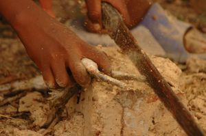 부르키나파소에서 개구리 다리 요리 준비