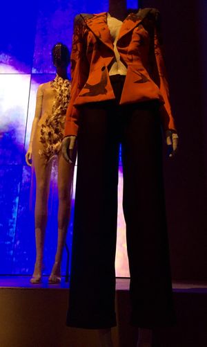 1995년 봄/여름, The Birds 컬렉션의 재킷