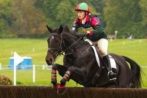 승마와 같은 도전적인 스포츠에서 몰입이 발생할 수 있다.