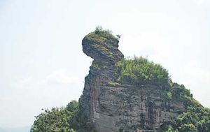 타이닝현의 고양이 산