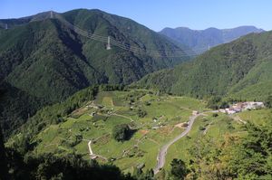 가미가레 지구의 차밭