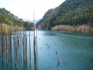 산사태로 오타키강 일부가 막혀 형성된 호수