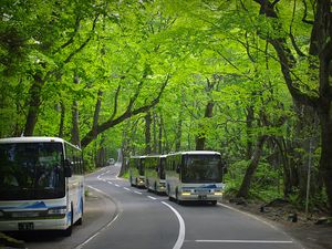 오이라세강 근처 국도 제102호선의 버스