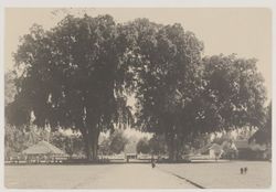 식민지 시대의 프로볼링고 시내 광장