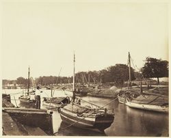 프로볼링고의 옛 항구