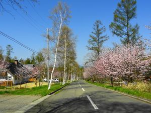 봄의 마을 풍경