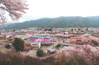 니시카쓰라정 중심부