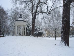 겨울의 뷔징 공원