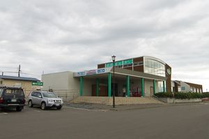 하마고시미즈역(미치노에키 하나야카)