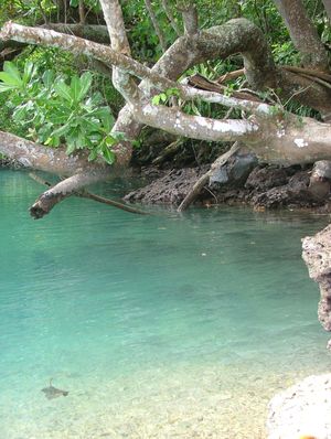 베스트 포인트, 사우스 산토
