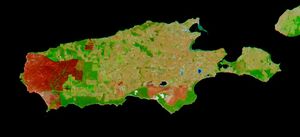 2007년 산불로 인한 화상 자국이 이 가짜 색상 위성 사진에서 빨간색으로 나타나고 있다