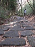 하코네 옛 가도의 돌길