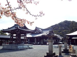 서원 경내
