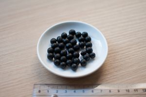 杜仲丸}})으로 알려진 Eucommia ulmoides 환제